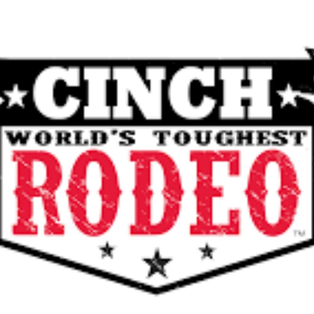 Cinch Solid Pinpoint Cottonwestern Riding Shirt I… - image 5